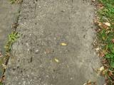 image of grave number 750106